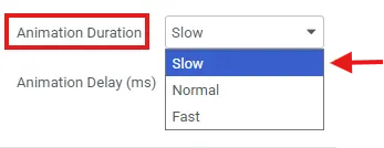 Animation duration available option