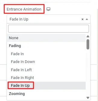 Entrance animation available options