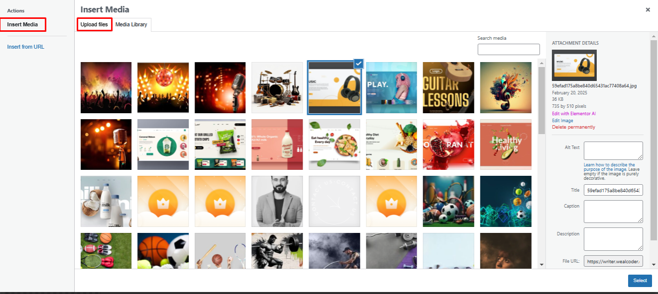 Image Gallery 5