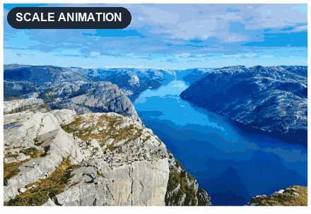 Scale Animation