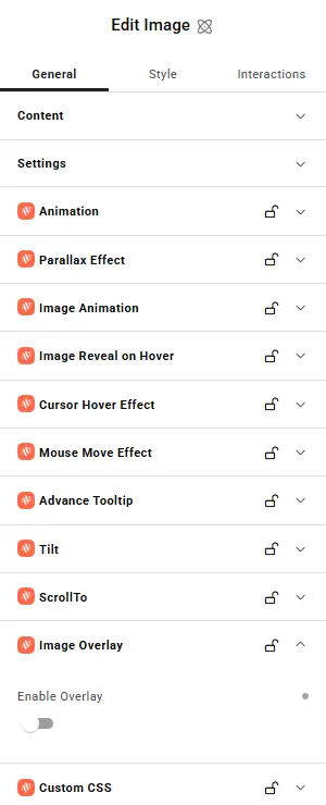 Image Overlay section