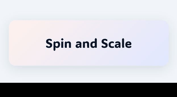Spin and Scale animation