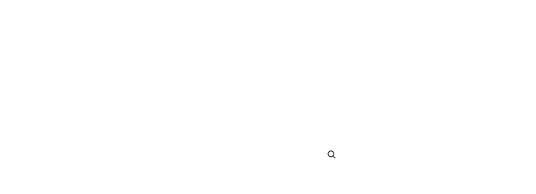 Full Screen Search Form