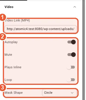 Video Mask settings