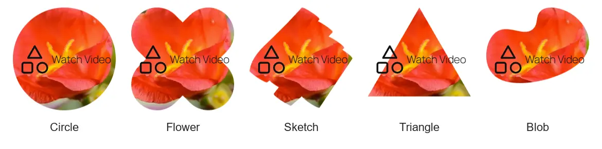 The five mask shapes